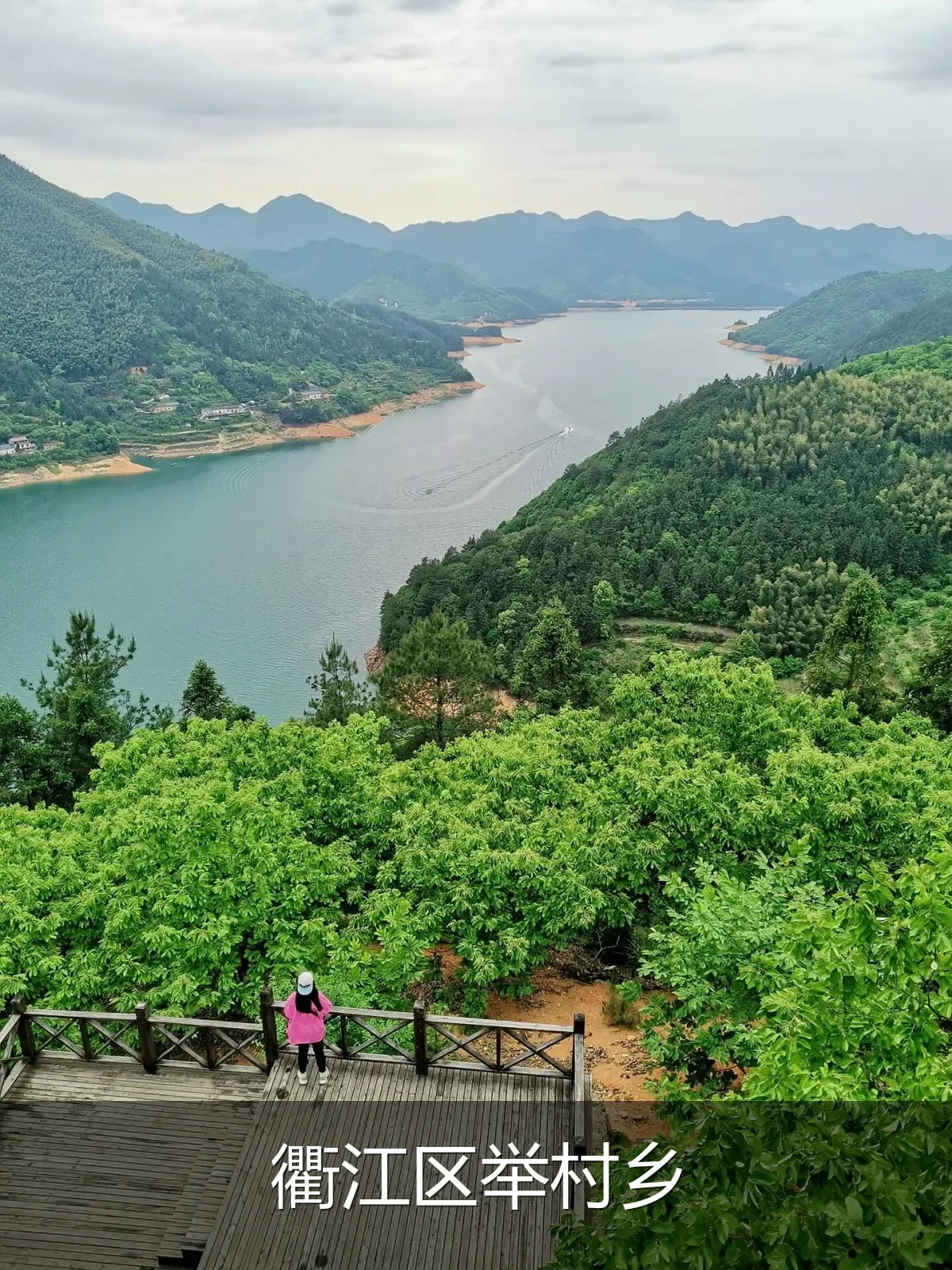 衢江区举村乡