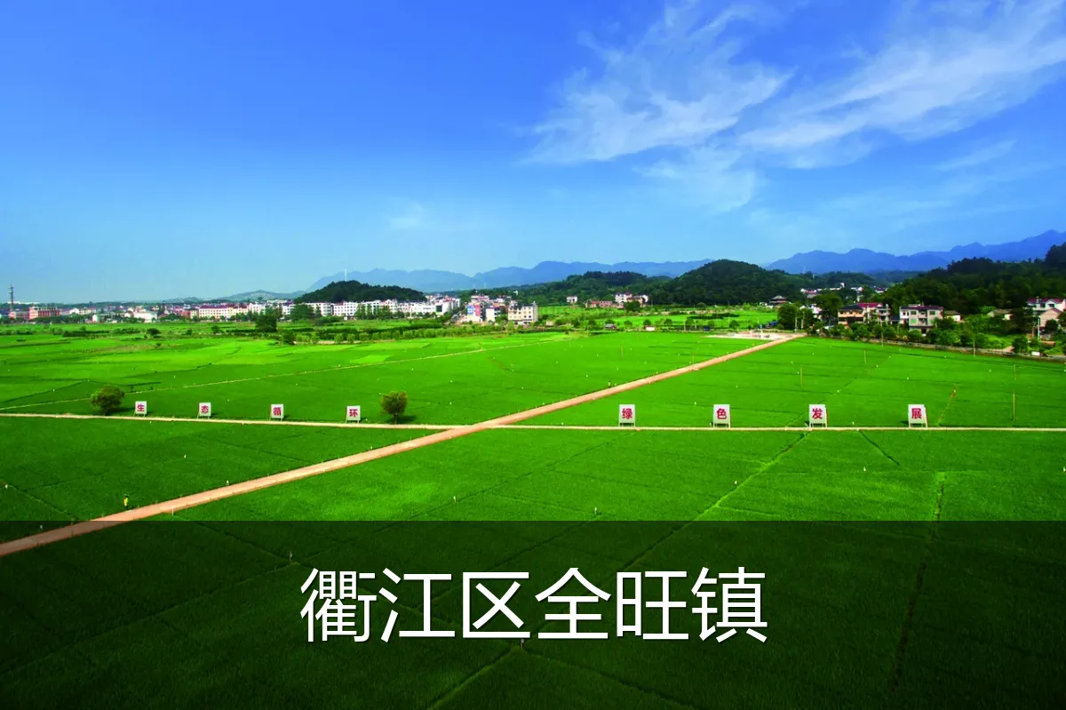 衢江区全旺镇
