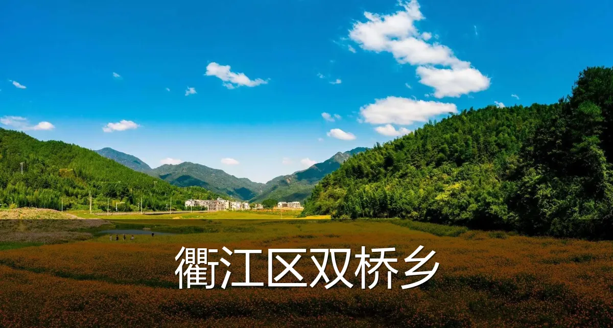 衢江区双桥乡