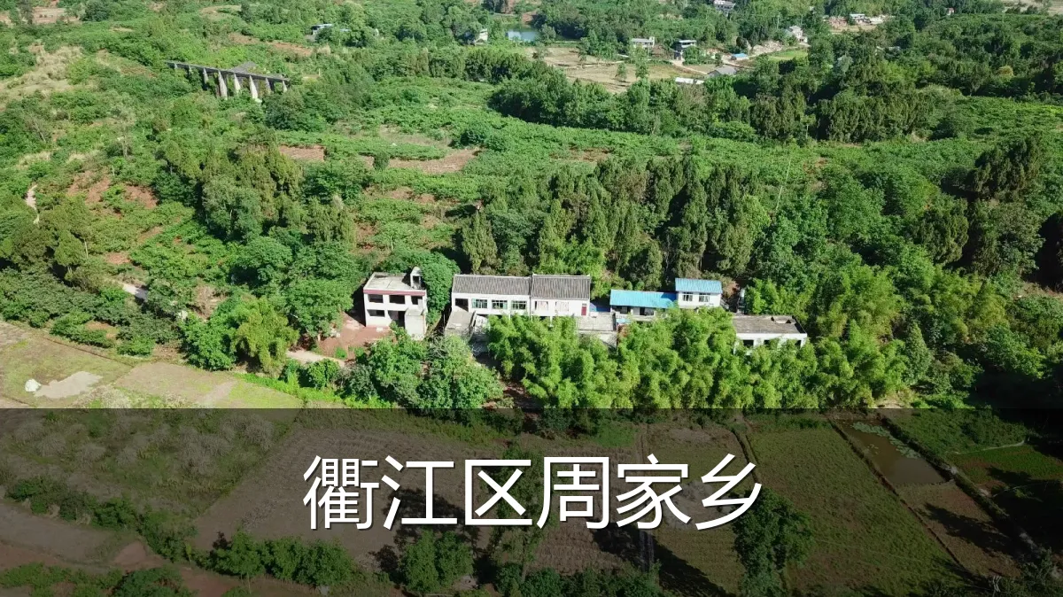衢江区周家乡