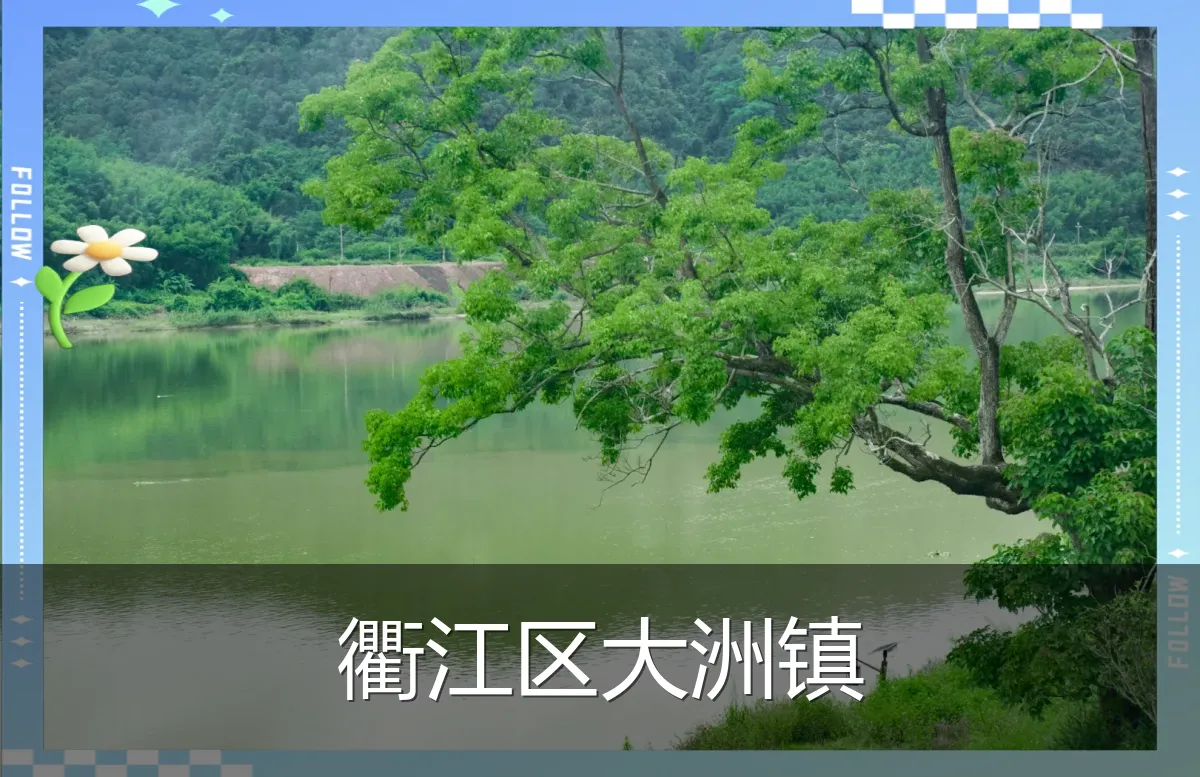 衢江区大洲镇