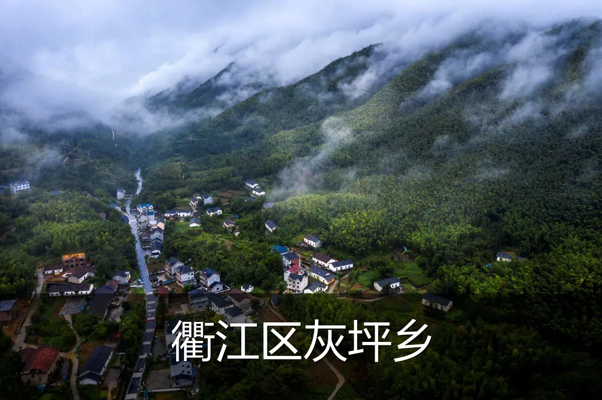 衢江区灰坪乡