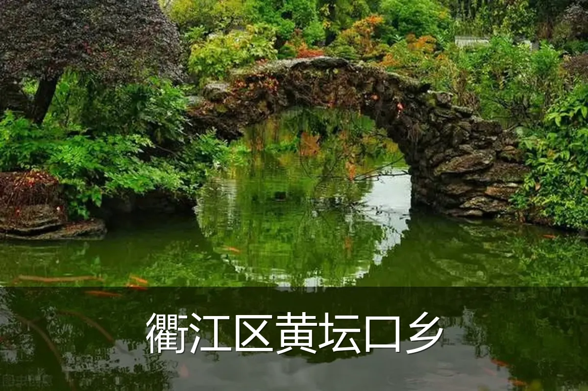 衢江区黄坛口乡